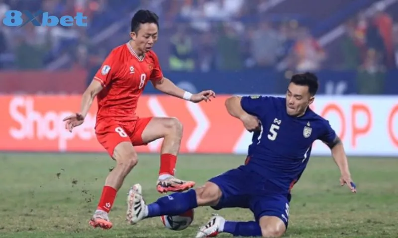 Người chơi được theo dõi các trận cầu trực tiếp miễn phí trên 8xbet